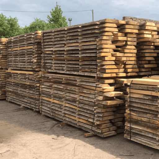 Russian Linden